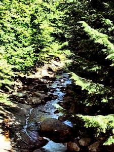 Streams
