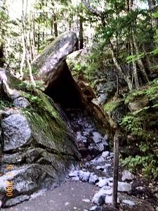 A Natural Hut