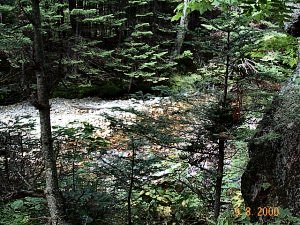 Beside the Ellis River