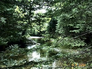 Ellis River