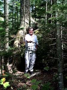 In Front of Man-Sized Boulder -- Tree Roots Surrounding