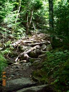 Small Boulders in Path (We Climbed Large Ones)
