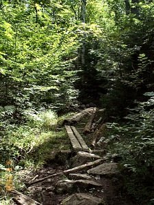 Bridges Over Mud
