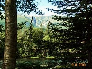 The Pond -- Huntington Ravine in Distance