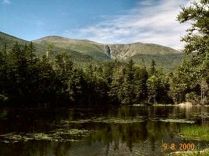 The Pond