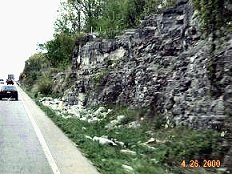 US65