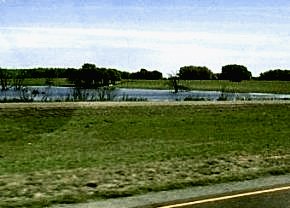 A farmer's pond