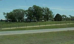 A farm