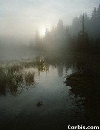 Lake of illusions