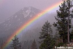 What would the world BE without the rainbow of diversity?  A world without unique colors and variables would truly be gray.