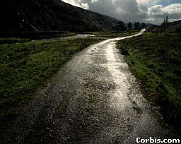 The road ahead may seem long, but the emotional treasures of walking that path, are priceless.