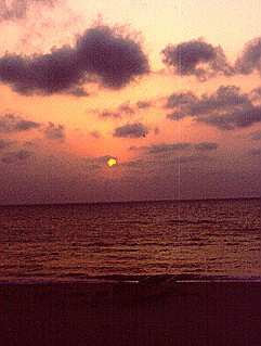 In the vast wealth of creation...sometimes I feel so very small.