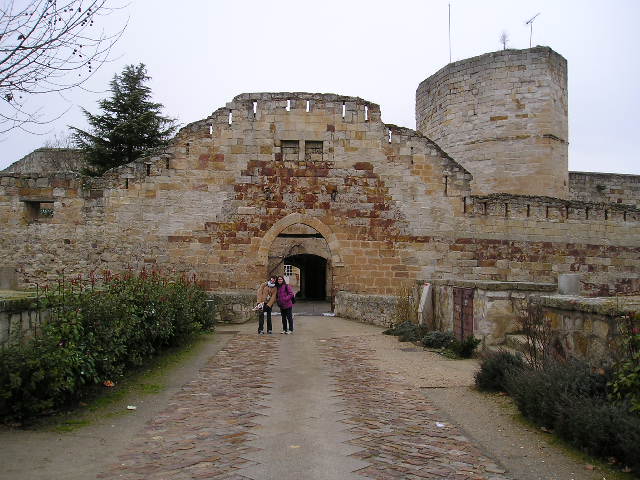 Pretty little castillo en Zamora con Iuliana y Laura.