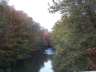 thm_PICT2159.gif