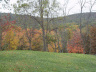 thm_PICT2185.gif