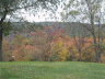 thm_PICT2186.gif