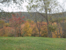 thm_PICT2187.gif