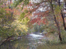 thm_PICT2189.gif