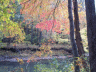 thm_PICT2191.gif