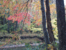 thm_PICT2193.gif