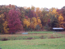 thm_PICT2204.gif