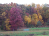 thm_PICT2206.gif