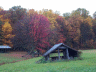 thm_PICT2207.gif