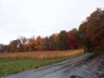 thm_PICT2209.gif