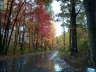thm_PICT2210.gif