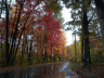 thm_PICT2211.gif
