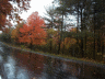 thm_PICT2213.gif