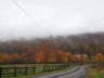 thm_PICT2215.gif