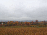 thm_PICT2219.gif