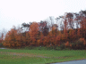 thm_PICT2225.gif