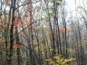 thm_PICT2248.gif