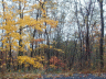 thm_PICT2249.gif