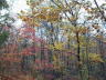 thm_PICT2250.gif