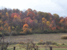 thm_PICT2263.gif