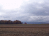 thm_PICT2270.gif