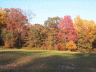 thm_PICT2297.gif