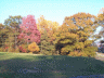 thm_PICT2298.gif