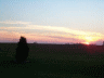 thm_PICT2311.gif