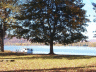 thm_PICT2328.gif