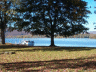 thm_PICT2329.gif