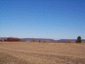 thm_PICT2333.gif