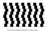 thm_SLIDE12.gif