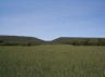 thm_DCP00765.gif