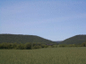 thm_DCP00767.gif