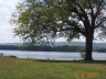 thm_PICT0090.gif