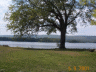 thm_PICT0091.gif